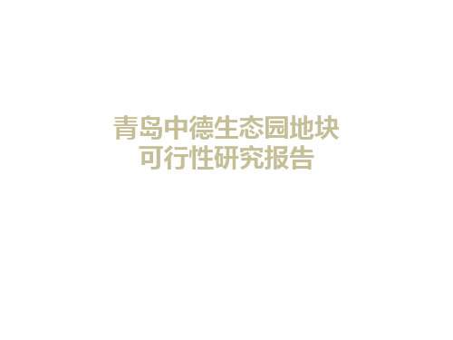 青岛中德生态园项目可行性研究报告