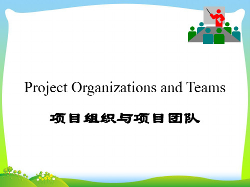 项目组织与项目团队概述(PPT90页)