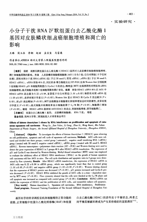 小分子干扰RNA沉默组蛋白去乙酰化酶1基因对皮肤鳞状细胞癌细胞增殖和凋亡的影响要点