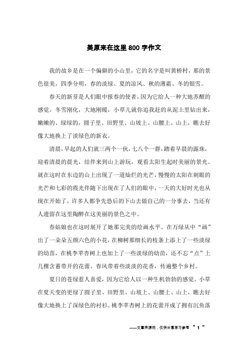 美原来在这里800字作文
