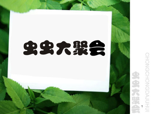 浙美版四年级美术虫虫大聚会PPT课件
