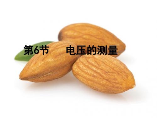 浙教版初中科学八年级上册4.5 电压的测量