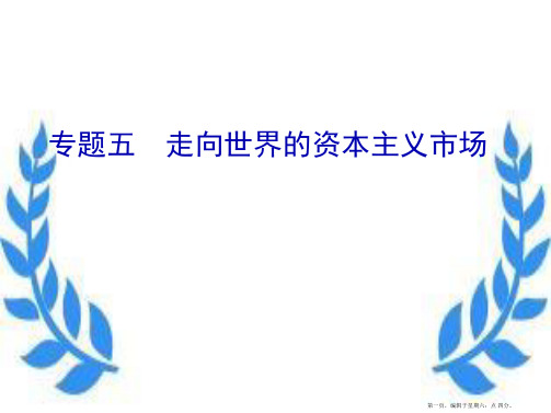 学年高中历史专题5走向世界的资本主义市场专题整合拓展课件人民版必修2