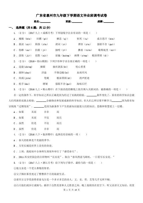广东省惠州市九年级下学期语文毕业班调考试卷