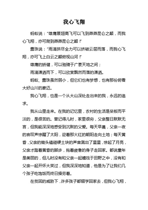 我心飞翔