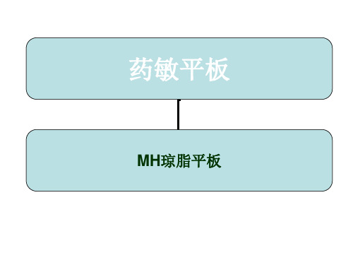 药敏试验平板的临床意义