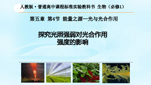 【一线精品】 人教版必修1 生物：5.4 能量之源——光与光合作用 课件(共18张PPT)