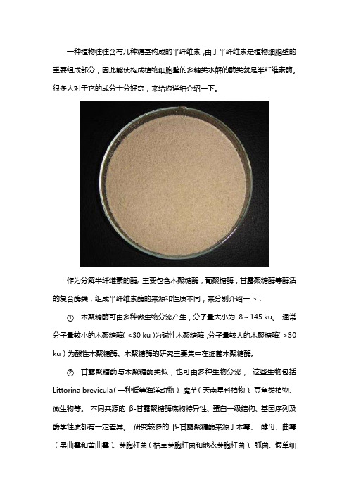 半纤维素酶的主要成分