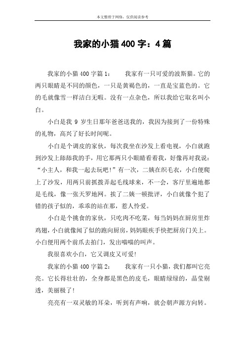 我家的小猫400字：4篇
