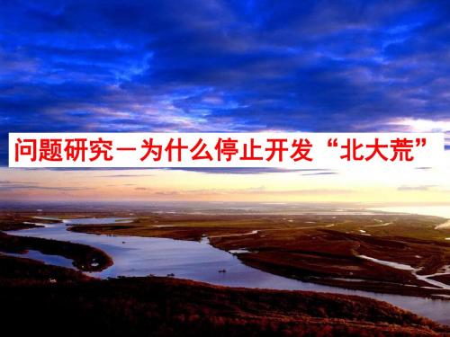 问题研究-为什么停止开发“北大荒”