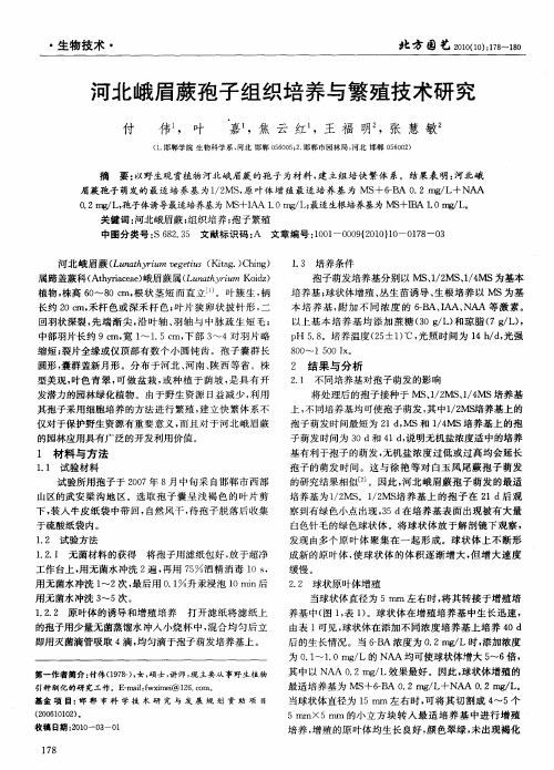 河北峨眉蕨孢子组织培养与繁殖技术研究