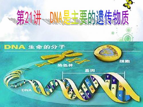 人教版高中生物必修二优秀课件：第三章第1节《DNA是主要遗传物质》(共21张PPT)