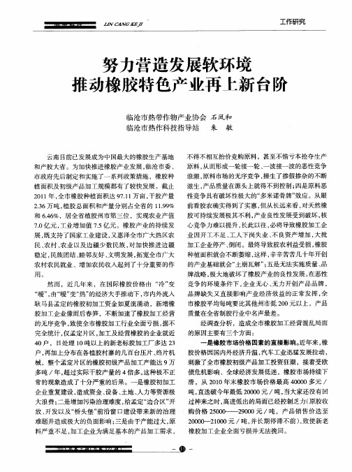 努力营造发展软环境推动橡胶特色产业再上新台阶