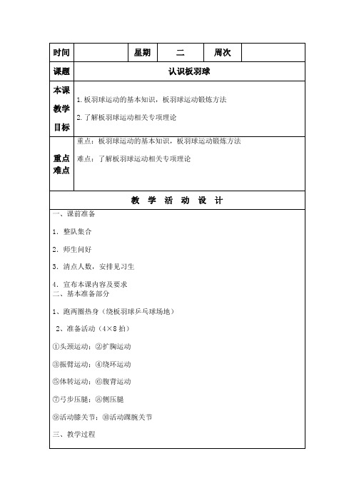 板羽球教学设计