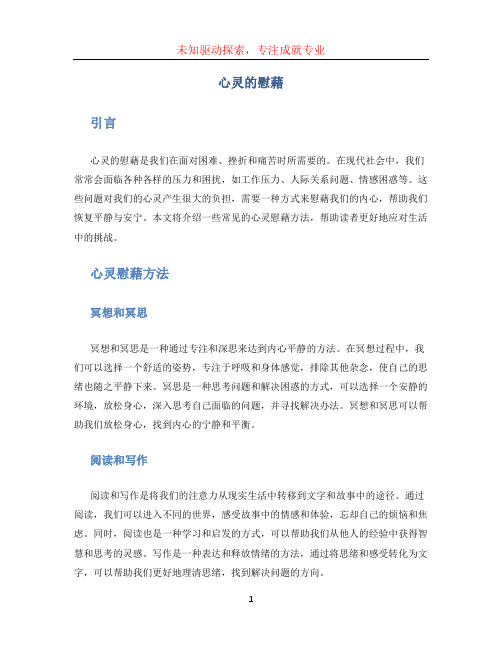 心灵的慰藉 (2)