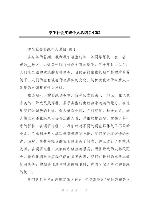 学生社会实践个人总结(14篇)