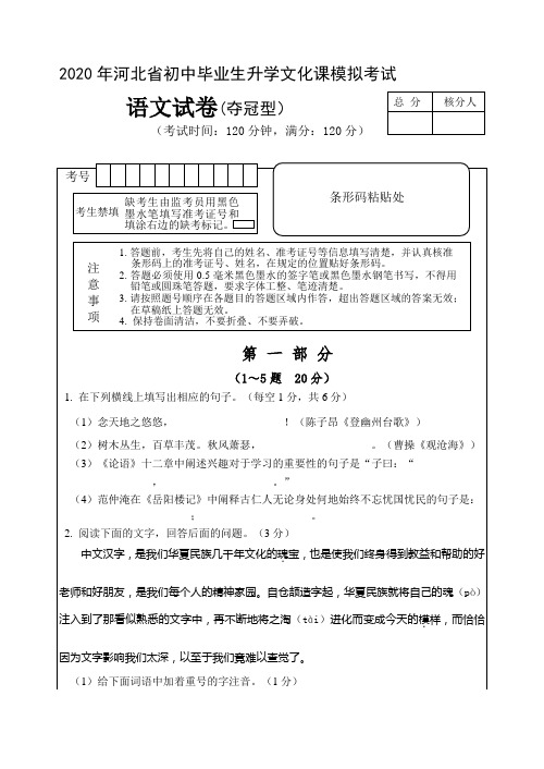 2020年中考语文夺冠型模拟试卷含答案