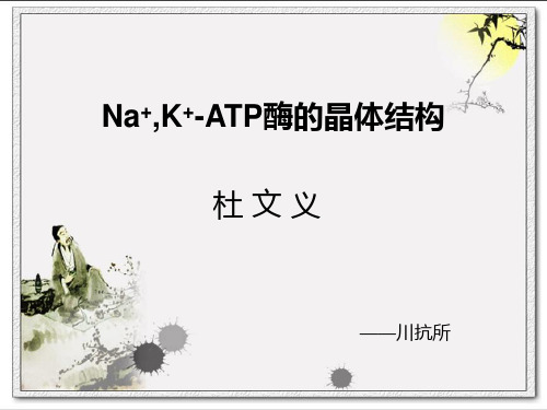 钠钾-ATP酶的结构