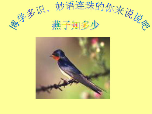 郑振铎《海燕》