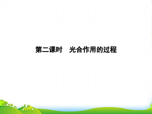 高中生物苏教版必修1课件：4.2.2 光合作用的过程