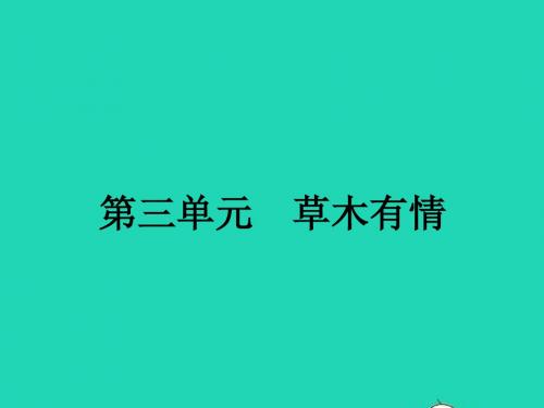 九年级语文下册 第三单元 5 白杨礼赞课件 北师大版