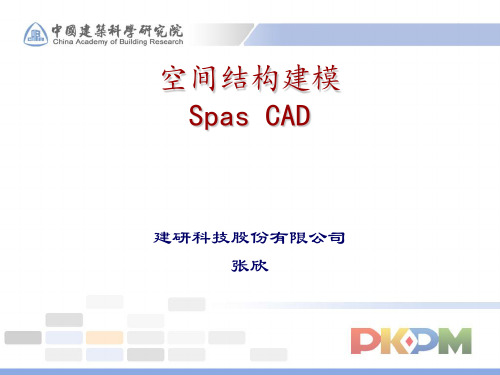 空间结构建模及分析软件spascad和pmsap_2