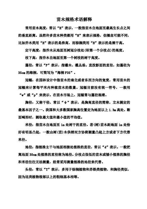 苗木规格术语解释