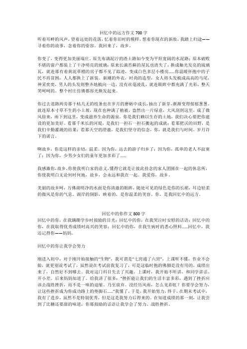 回忆中的你作文800字