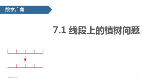 1植树问题优质课件PPT