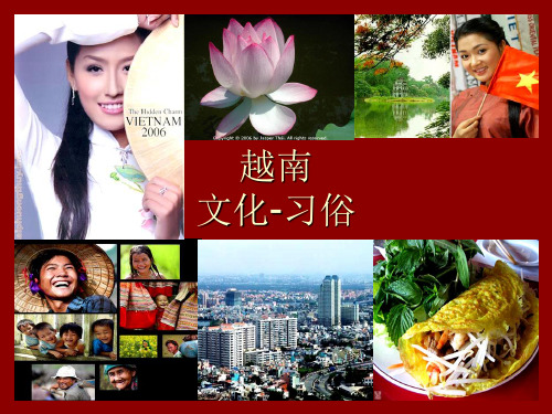 越南文化ppt课件