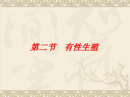 有性生殖ppt 苏教版