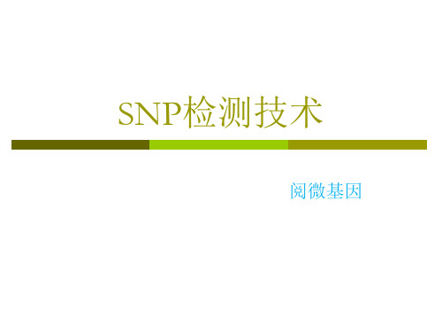 SNP检测原理和应用