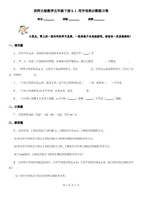 西师大版 数学五年级下册5.1 用字母表示数练习卷