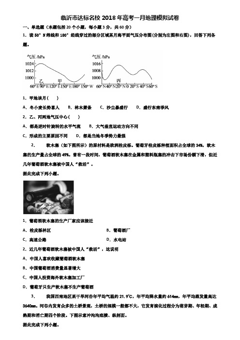 临沂市达标名校2018年高考一月地理模拟试卷含解析