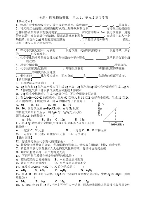 初三化学复习学案