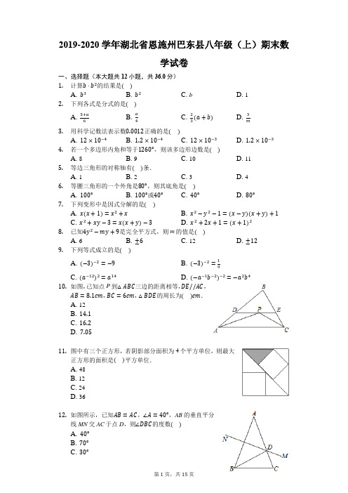 2019-2020学年湖北省恩施州巴东县八年级(上)期末数学试卷-普通用卷