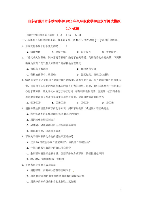 山东省滕州市东沙河中学九年级化学学业水平测试模拟(1)试题