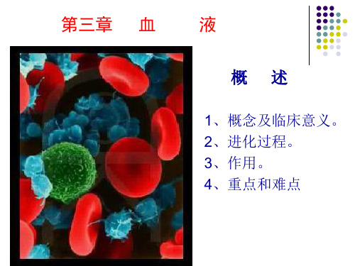 生理学课件_血液