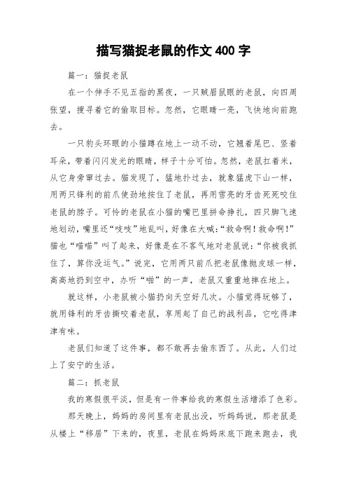 描写猫捉老鼠的作文400字_作文