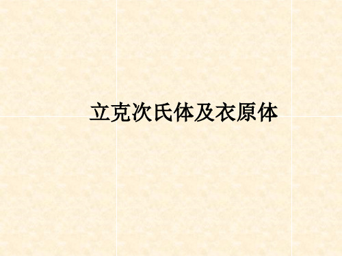 立克次氏体