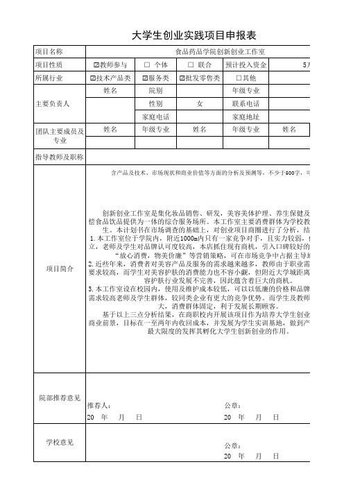 大学生创业实践项目申报表样表(2)