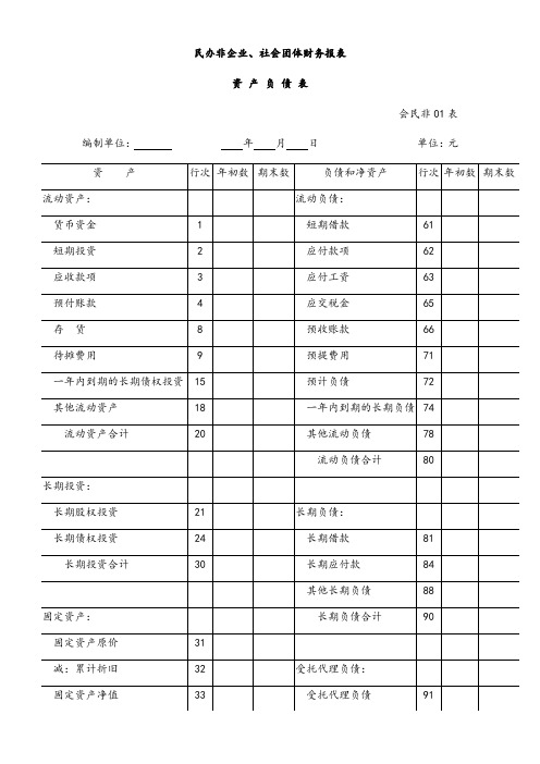 社会团体财务报表