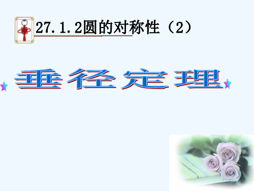 圆的对称性