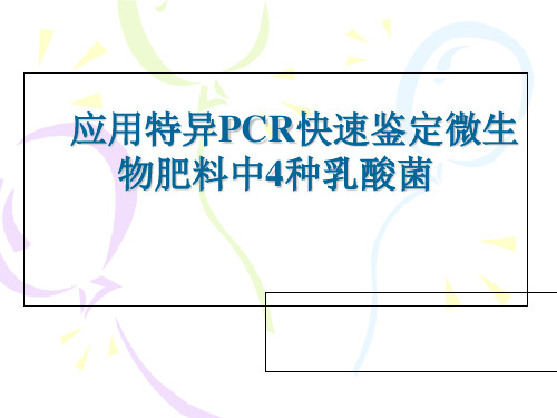 PCR鉴定乳酸菌