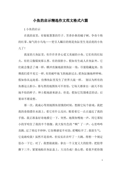 小鱼的启示精选作文范文格式六篇