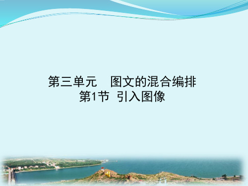初中信息技术_第1节插入图像教学课件设计