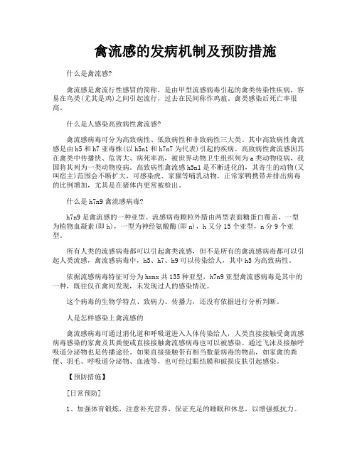 禽流感的发病机制及预防措施