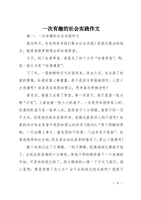 一次有趣的社会实践作文