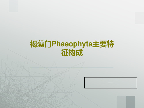 褐藻门Phaeophyta主要特征构成43页PPT