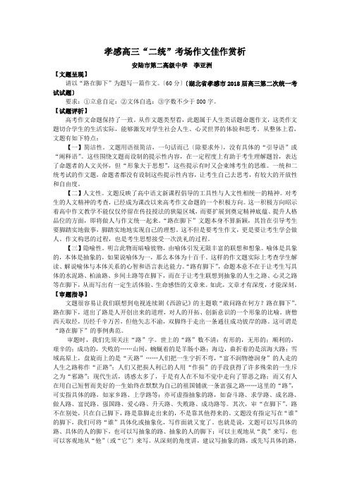 孝感高三“二统”考场作文佳作赏析